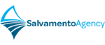 sagency_logo