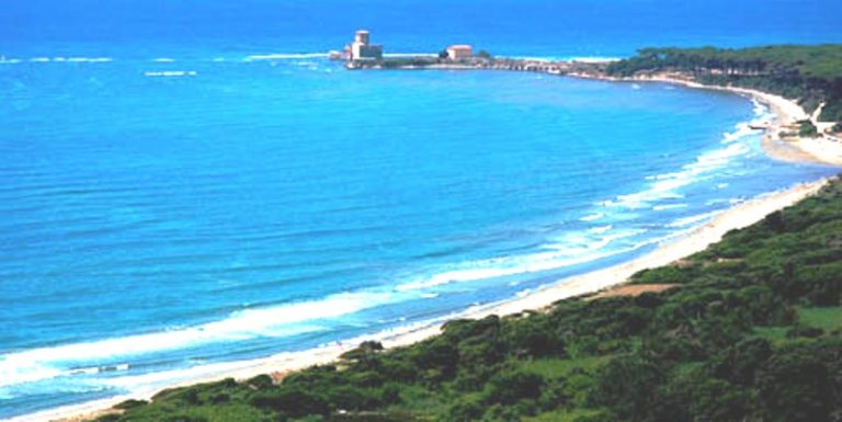 I volontari in servizio a Torre Astura: il resoconto