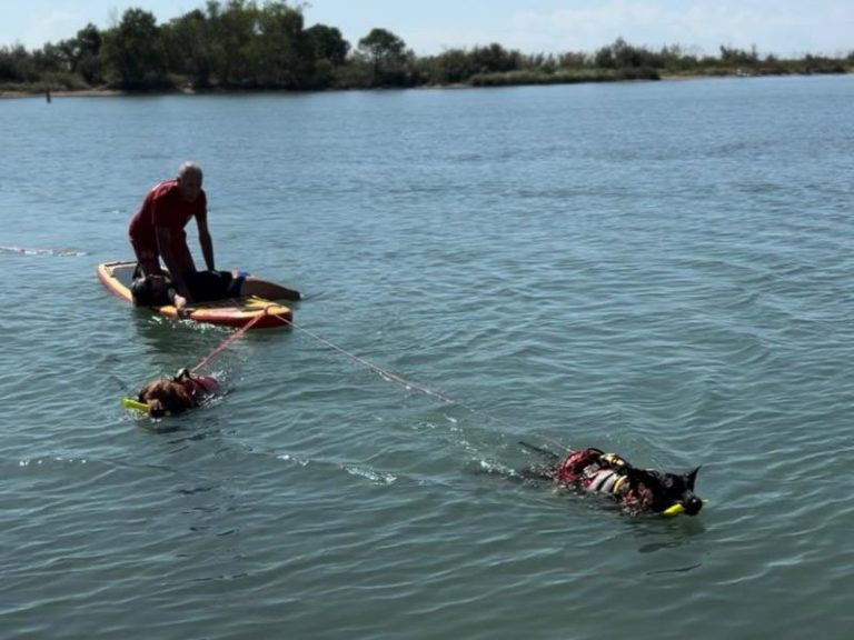 Esercitazione di Salvataggio a Eraclea Mare: il report